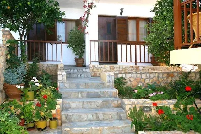 Elgoni (adults Only)