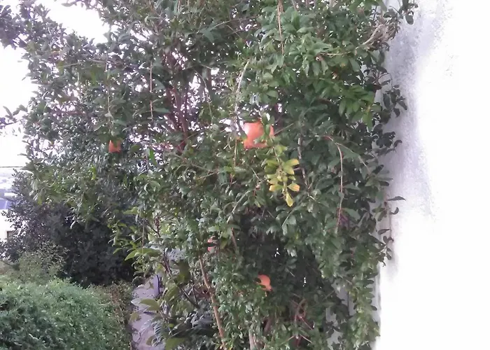 公寓 Elgoni (adults Only) *