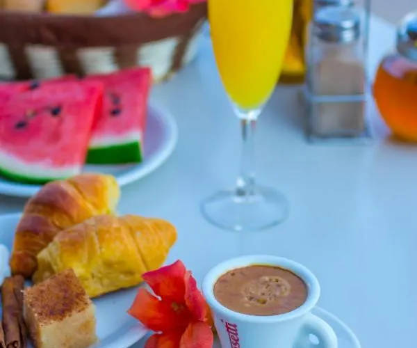 Elgoni (adults Only)